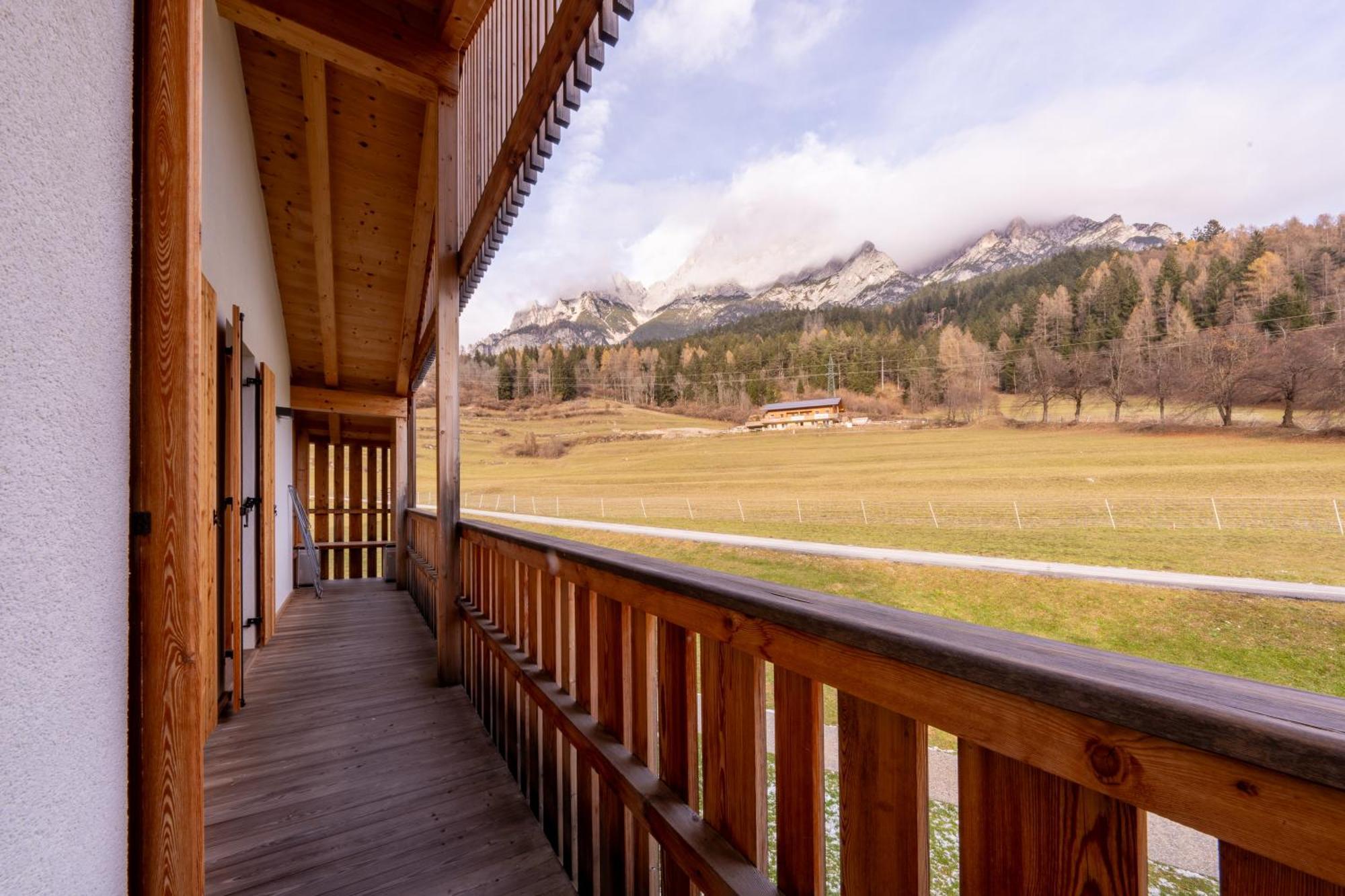 Greenwood Chalet - Spacious Alpine Retreat With Mountain Views Vodo Cadore Dış mekan fotoğraf